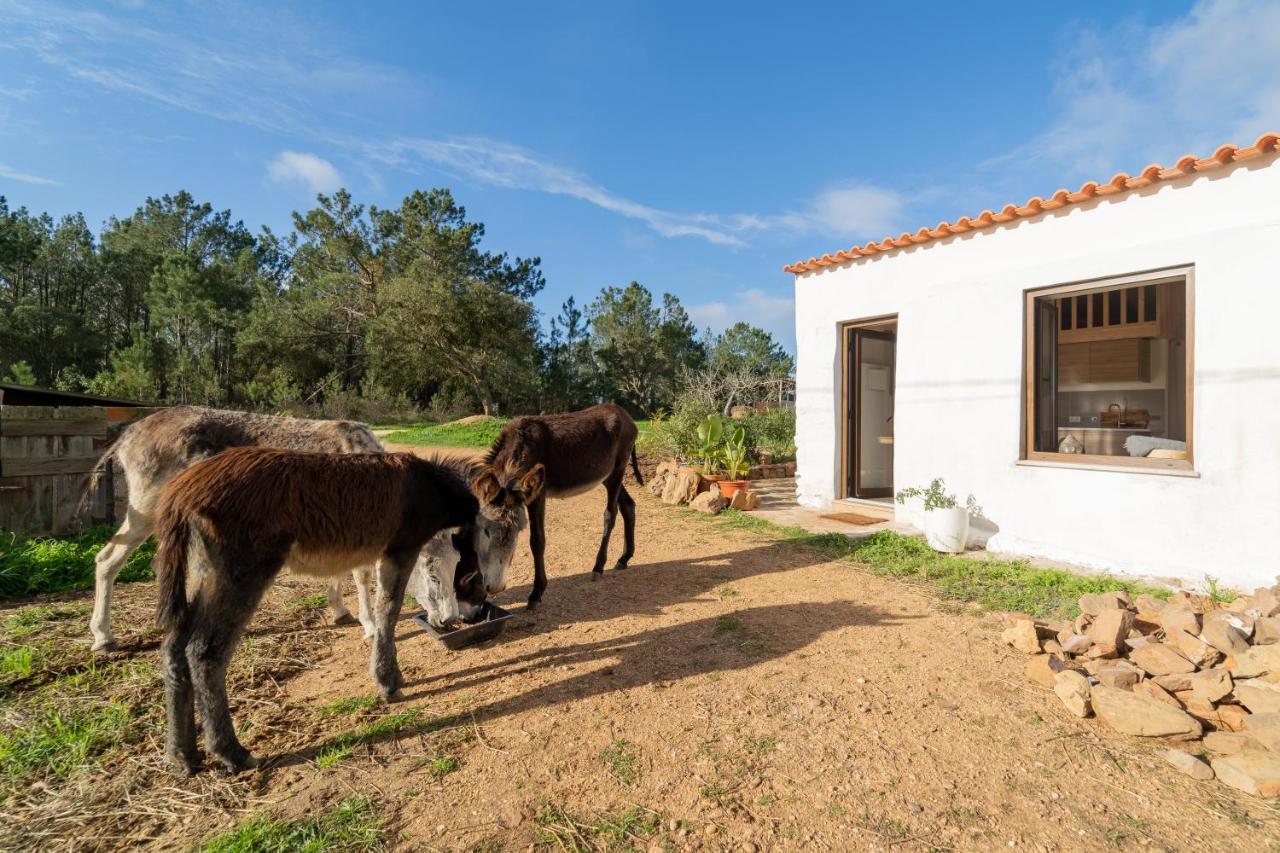 Apartament Casa Da Paz Aljezur Zewnętrze zdjęcie